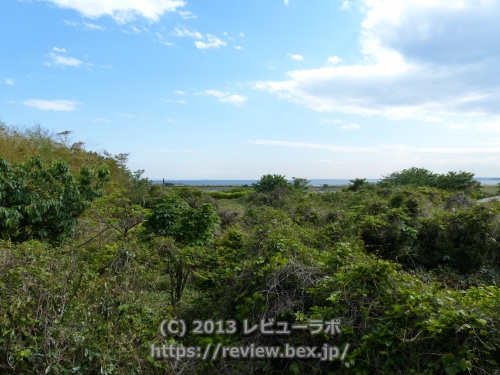 葛西臨海公園（鳥類園から海側　25mm撮影）