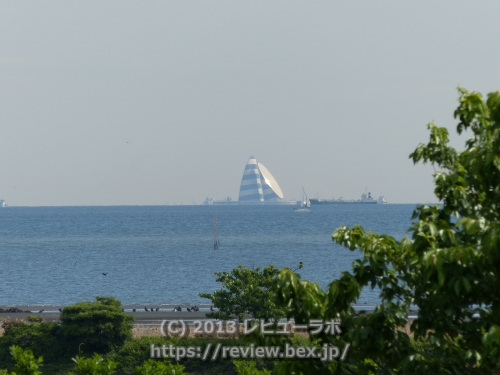 葛西臨海公園（鳥類園から海側　600mm撮影）