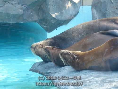 上野動物園（160mm撮影）